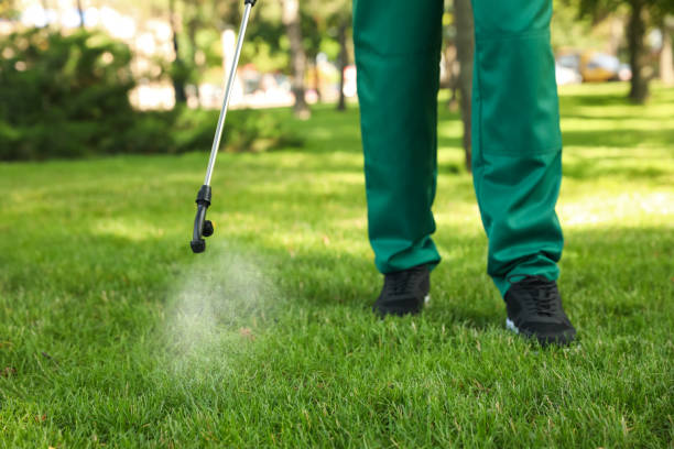 Pest Prevention Services in Malverne, NY