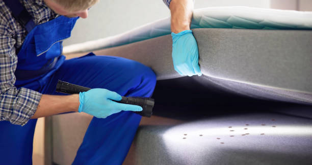 Wasp Removal Services in Malverne, NY