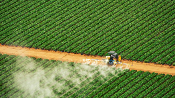 Best Pest Removal Services  in Malverne, NY