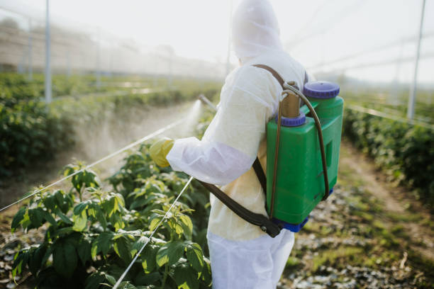 Flea Control Services in Malverne, NY